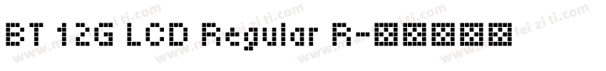 BT 12G LCD Regular R字体转换